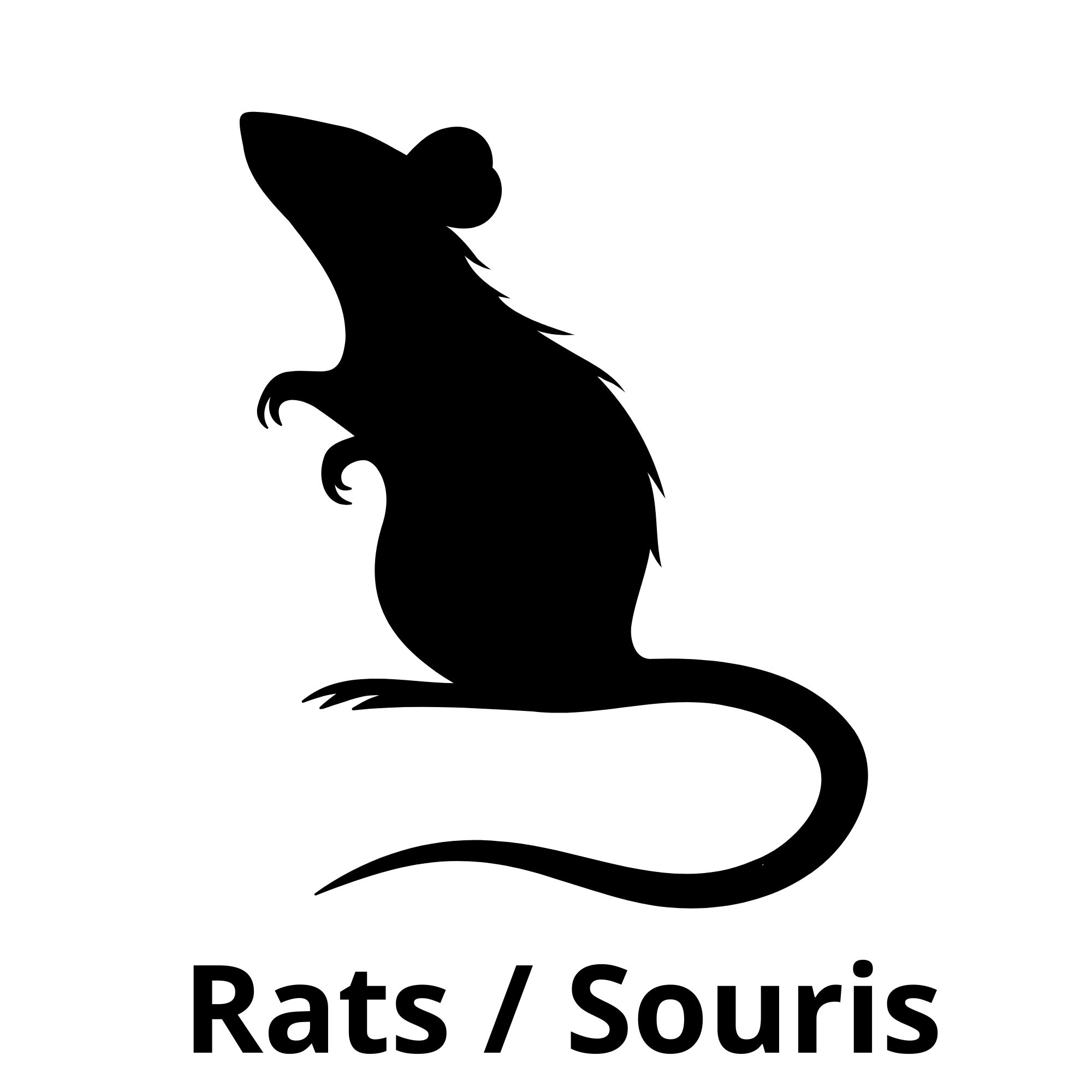 Rongeurs